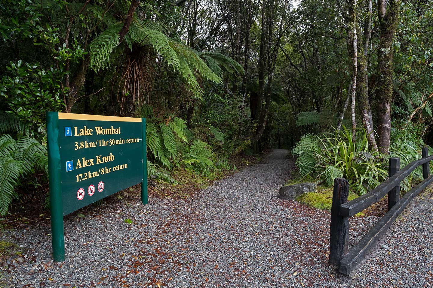 Lake Wombat Walk, Westland Tai Poutini National Park, New Zealand