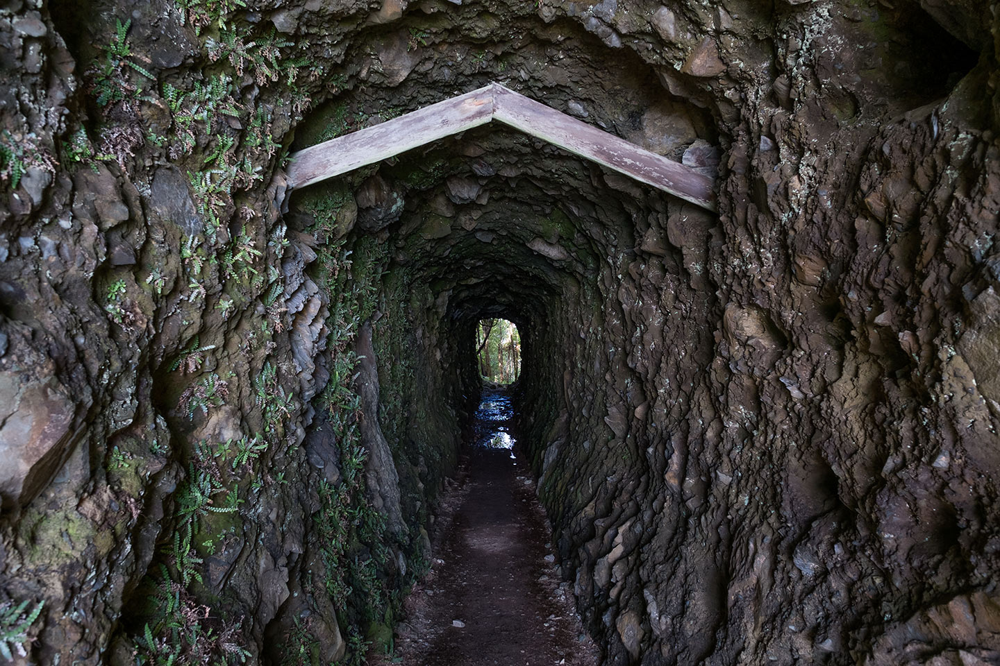 Gillespies Beach Miners Tunnel Walk, Westland Tai Poutini National Park, New Zealand
