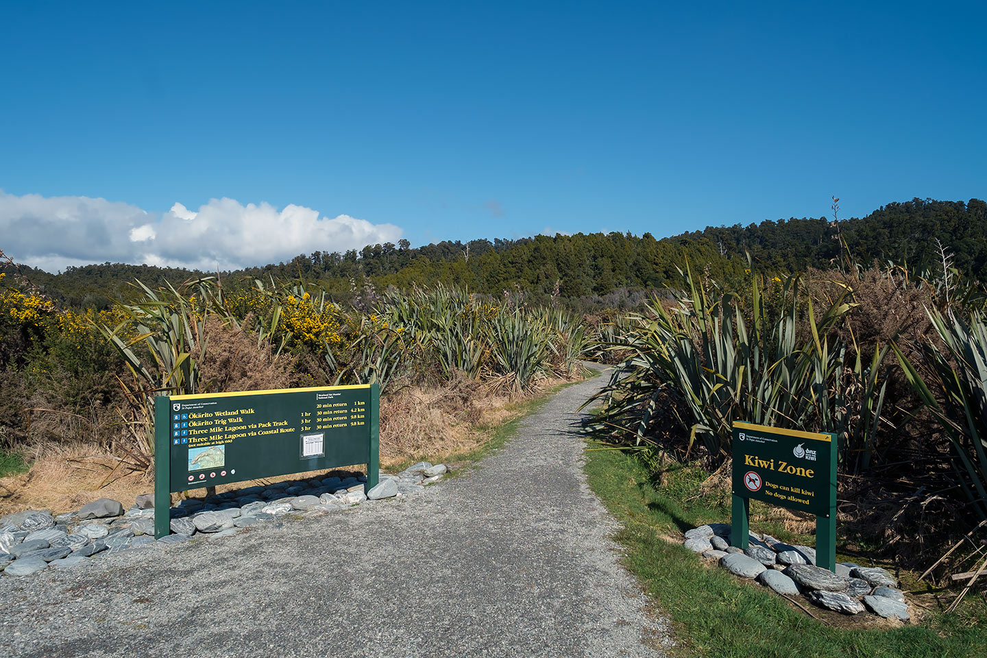 Okarito Wetland Walk, Westland Tai Poutini National Park, New Zealand