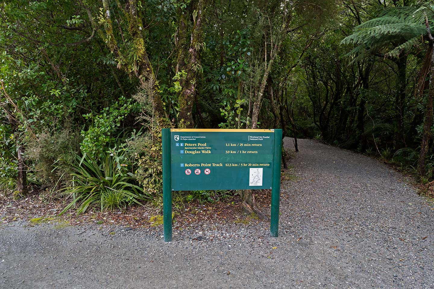 Peters Pool, Westland Tai Poutini National Park, New Zealand