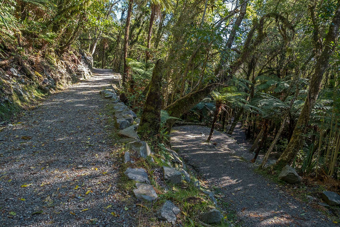 River Walk Track Viewpoint, Westland Tai Poutini National Park, New Zealand