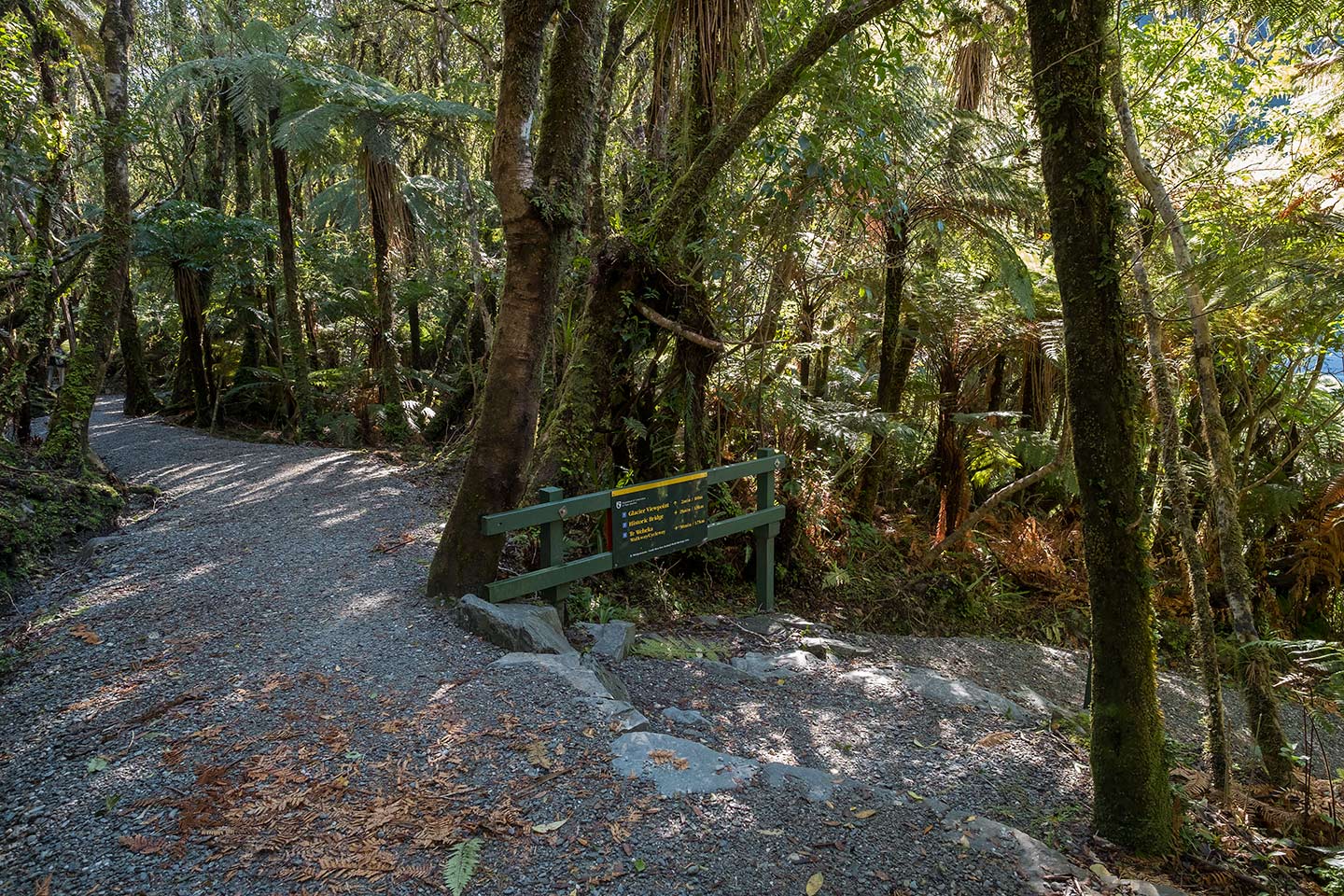 River Walk Track Viewpoint, Westland Tai Poutini National Park, New Zealand