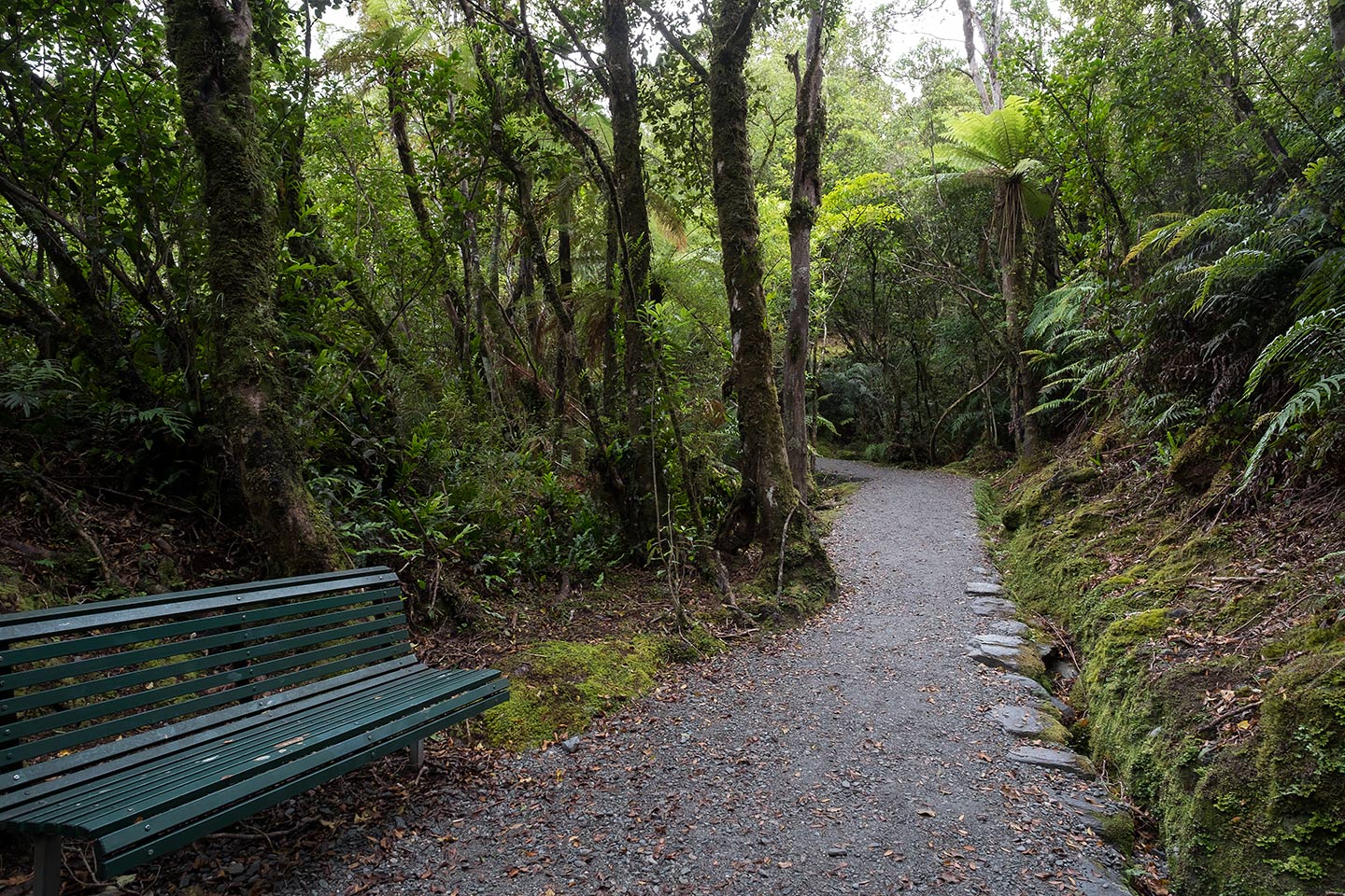 Sentinel Rock Walk, Westland Tai Poutini National Park, New Zealand