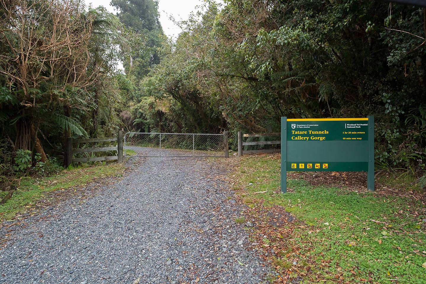 Tatare Tunnels Walk, Westland Tai Poutini National Park, New Zealand