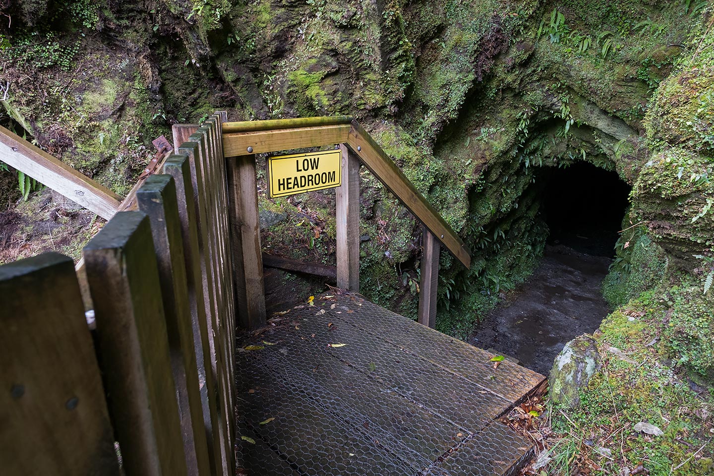 Tatare Tunnels Walk, Westland Tai Poutini National Park, New Zealand