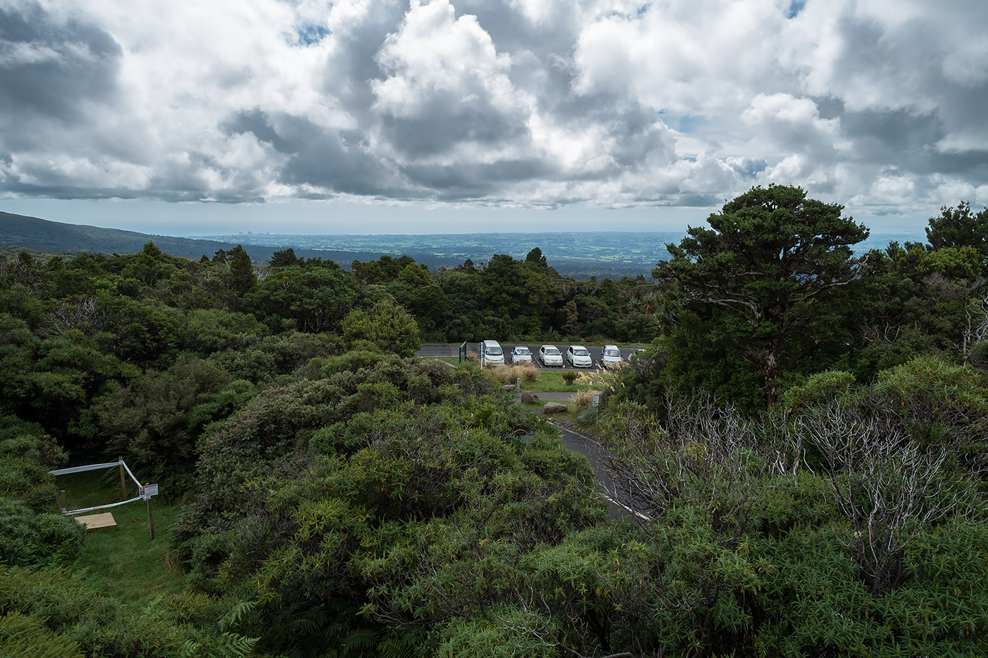 Viewing Platform, Egmont National Park, New Zealand